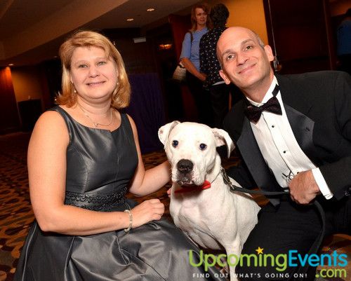 Good Dog Gala