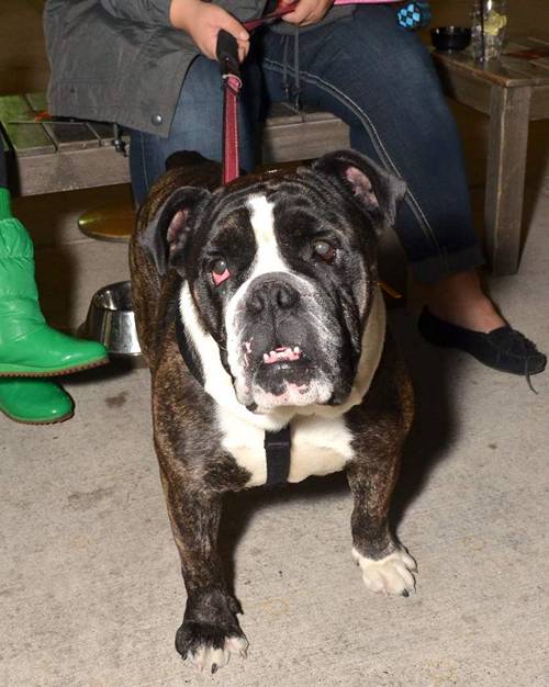 Pour Decision Sunday @ PYT