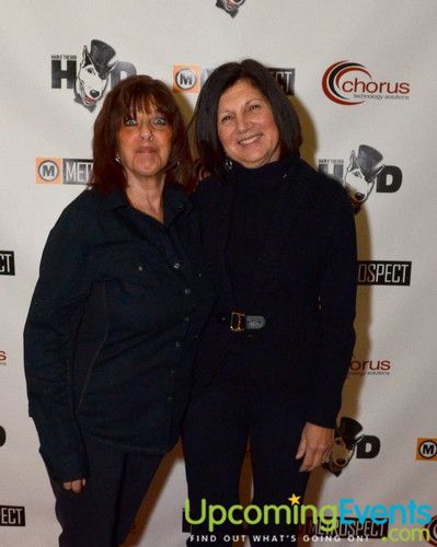 Hair O' the Dog (Gallery B)