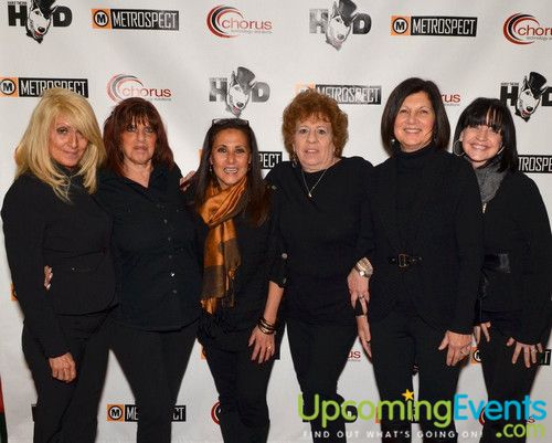 Hair O' the Dog (Gallery B)