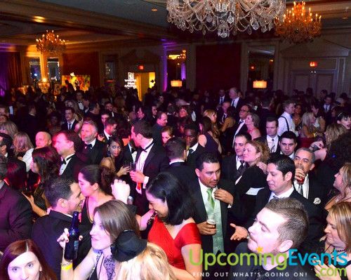 Hair O' the Dog (Gallery B)