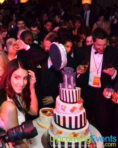 Hair O' the Dog (Gallery B)