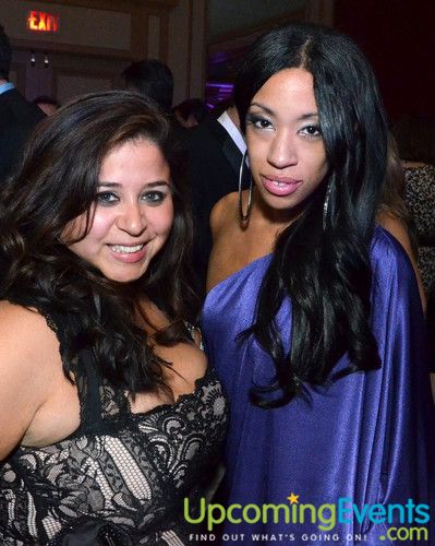 Hair O' the Dog (Gallery B)