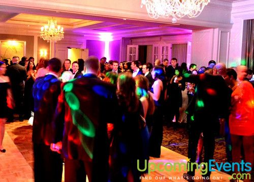 Hair O' the Dog (Gallery A)