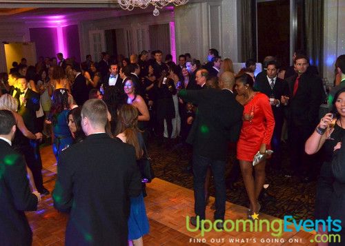 Hair O' the Dog (Gallery A)