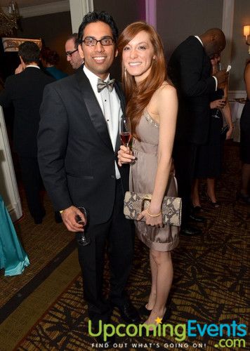 Hair O' the Dog (Gallery A)