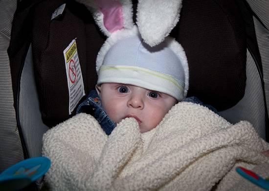 The 2012 Bunny Hop! (Gallery A)