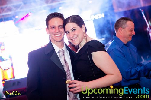 Hair O' The Dog (Gallery B)