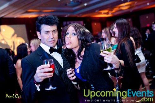 Hair O' The Dog (Gallery A)