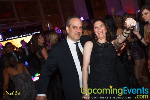 Hair O' The Dog (Gallery A)