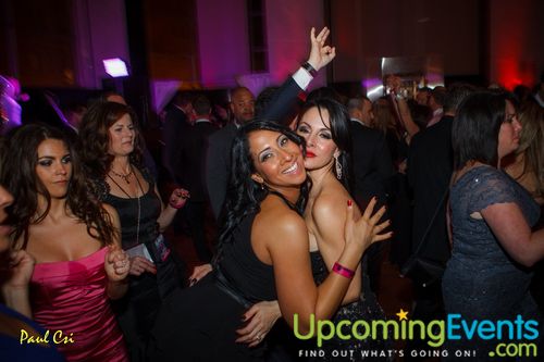 Hair O' The Dog (Gallery A)