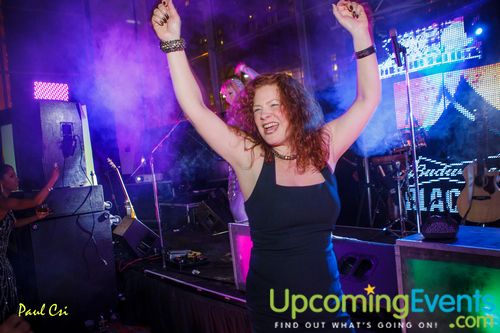 Hair O' The Dog (Gallery A)