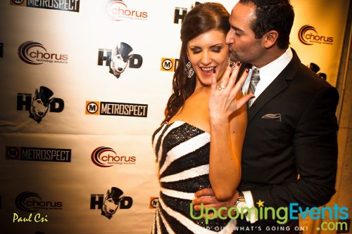 Hair O' The Dog (Gallery A)