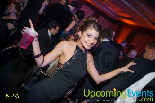 Hair O' The Dog (Gallery A)