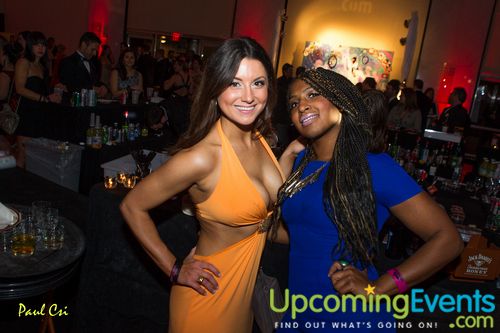 Hair O' The Dog (Gallery A)