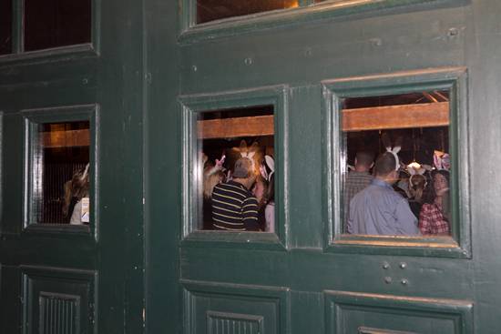 15th Annual Bunny Hop! (Gallery B)