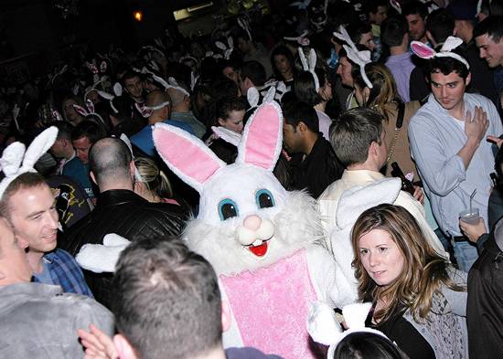 15th Annual Bunny Hop! (Gallery C)