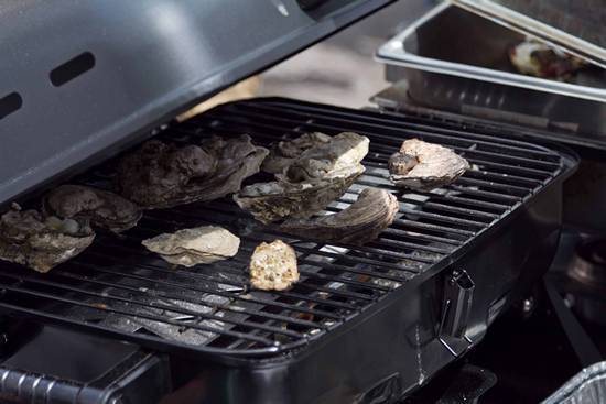 The Philadelphia Craft Beer & Oysterfest (Gallery B)