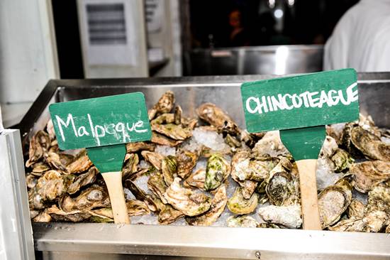 Doc Magrogan's Deck Launch