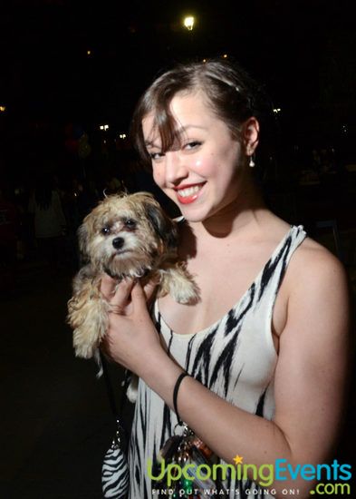 The Ultimate Backyard Bash