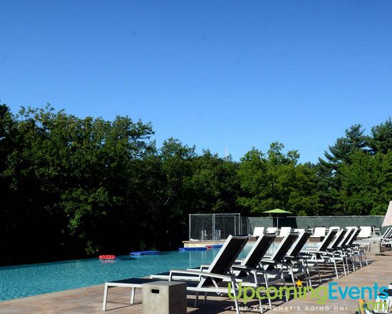 The Ultimate Backyard Bash