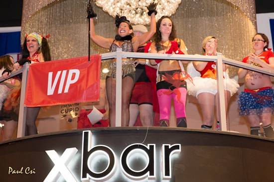 Cupid's Undie Run 2014