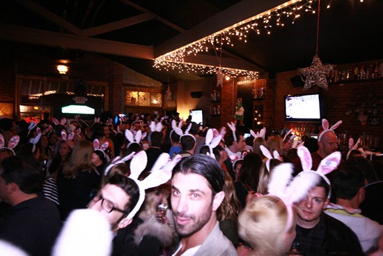 16th Annual Bunny Hop! (Gallery A)