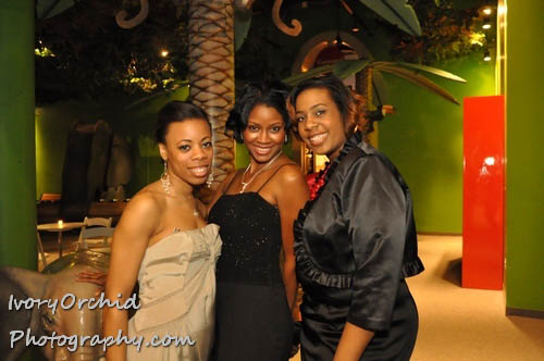 The 2009 Red Ball at The Please Touch Museum