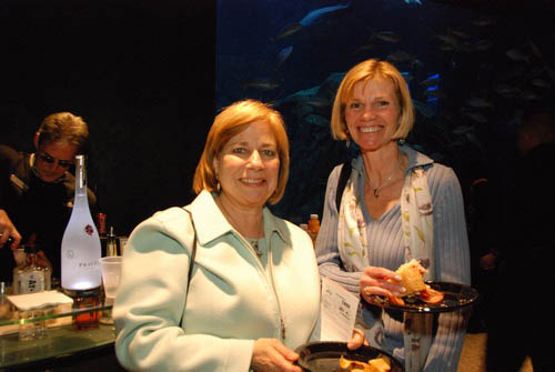 Hot Chocolate @ The Adventure Aquarium