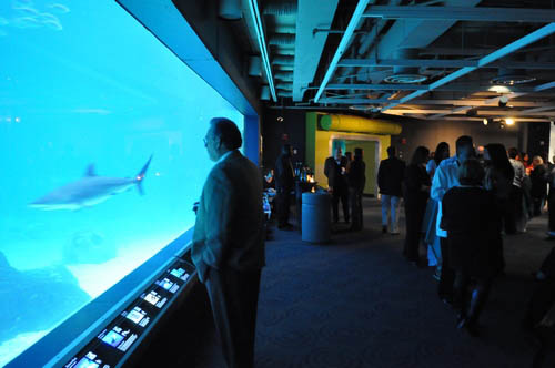 Hot Chocolate @ The Adventure Aquarium