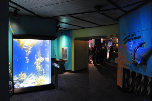 Hot Chocolate @ The Adventure Aquarium