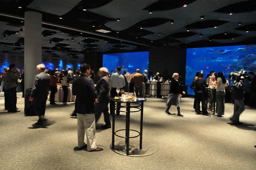 Hot Chocolate @ The Adventure Aquarium