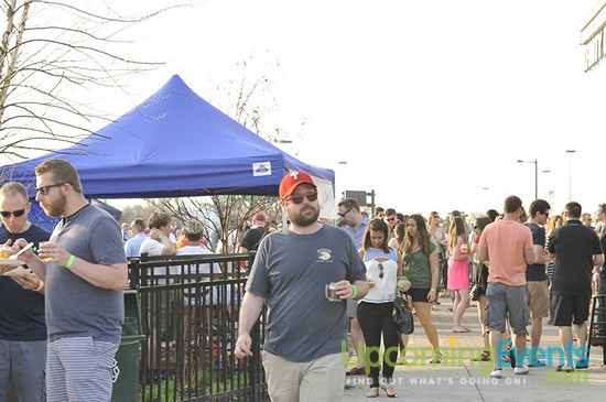 Springfest Live! Craft Beer Fest (Gallery A)