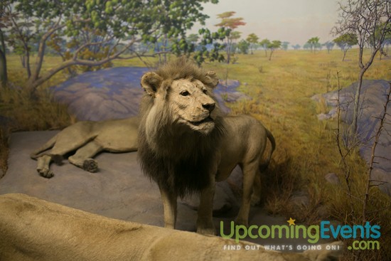 Philadelphia Restaurant Festival 2016