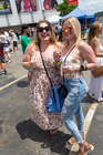 Summerfest Live! Craft Beer & Wine Festival